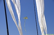 32 FESTIVAL CERVIA 2012 - 180